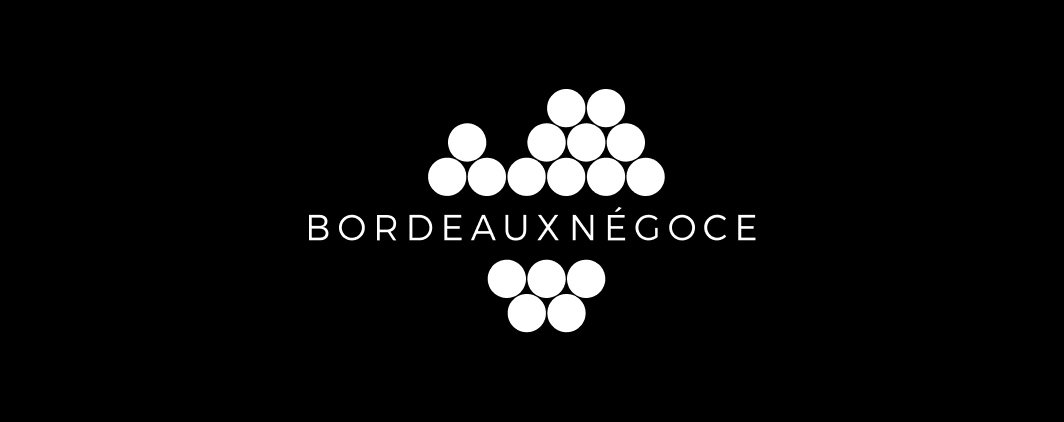 logo blanc sans fond (2)