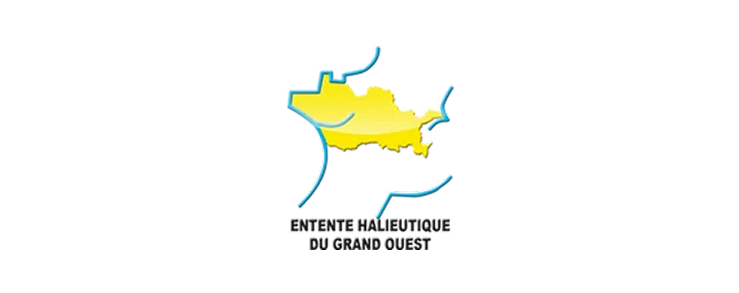 logo blanc sans fond (4)